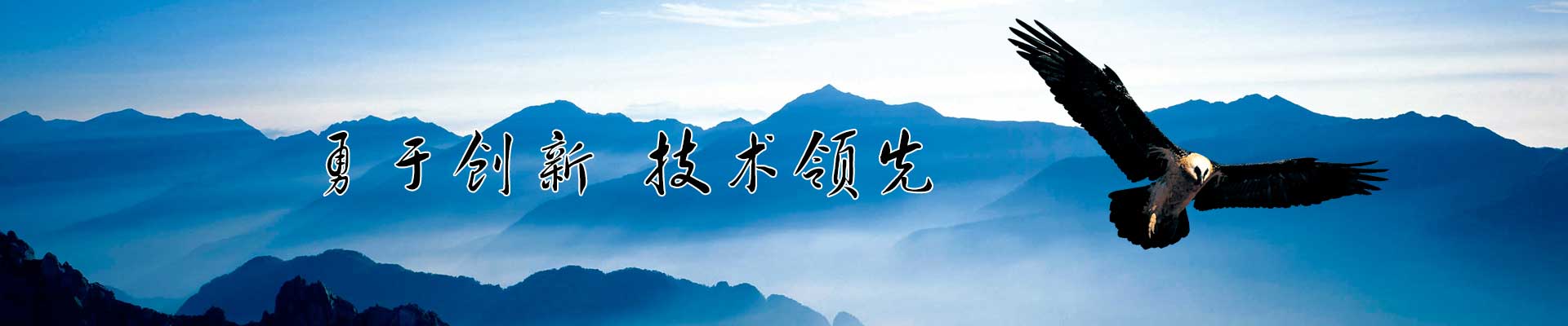 公司介紹